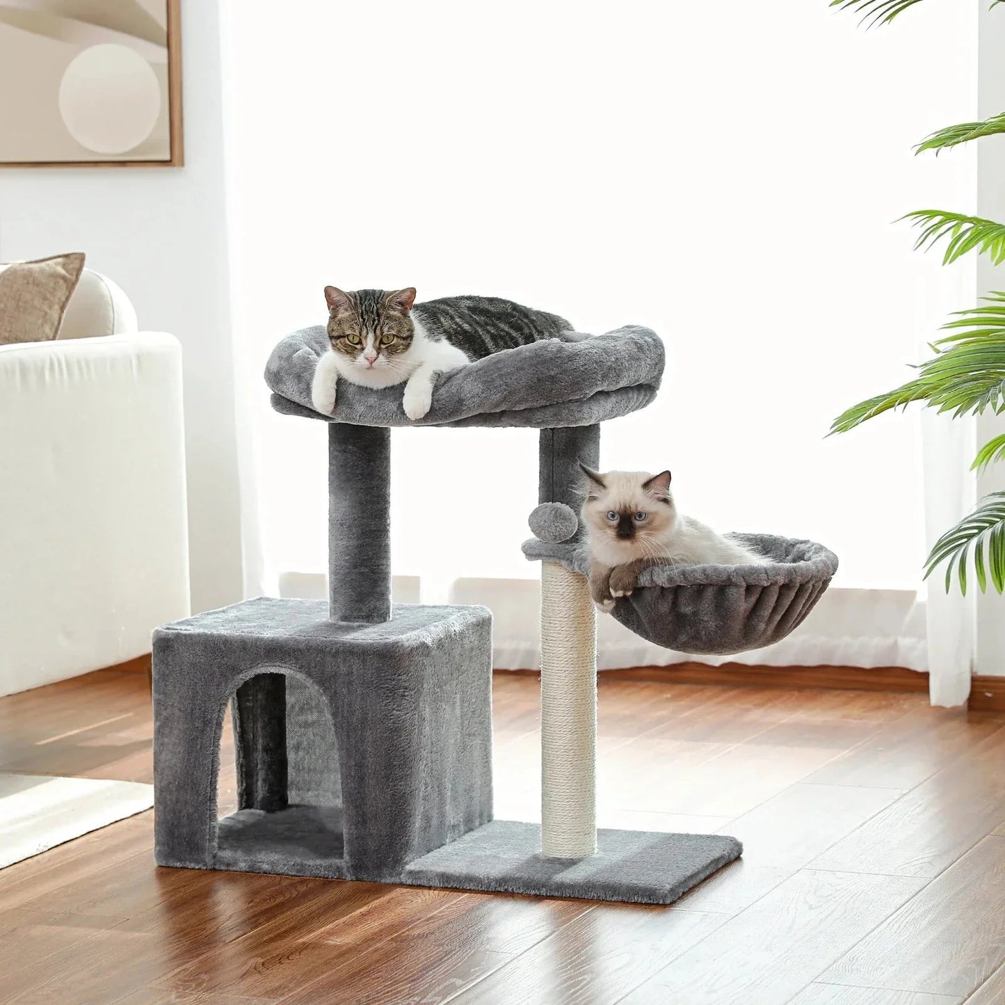 Arbre à chat - CatCondo™ - Hamac - Lakshmi et Compagnie