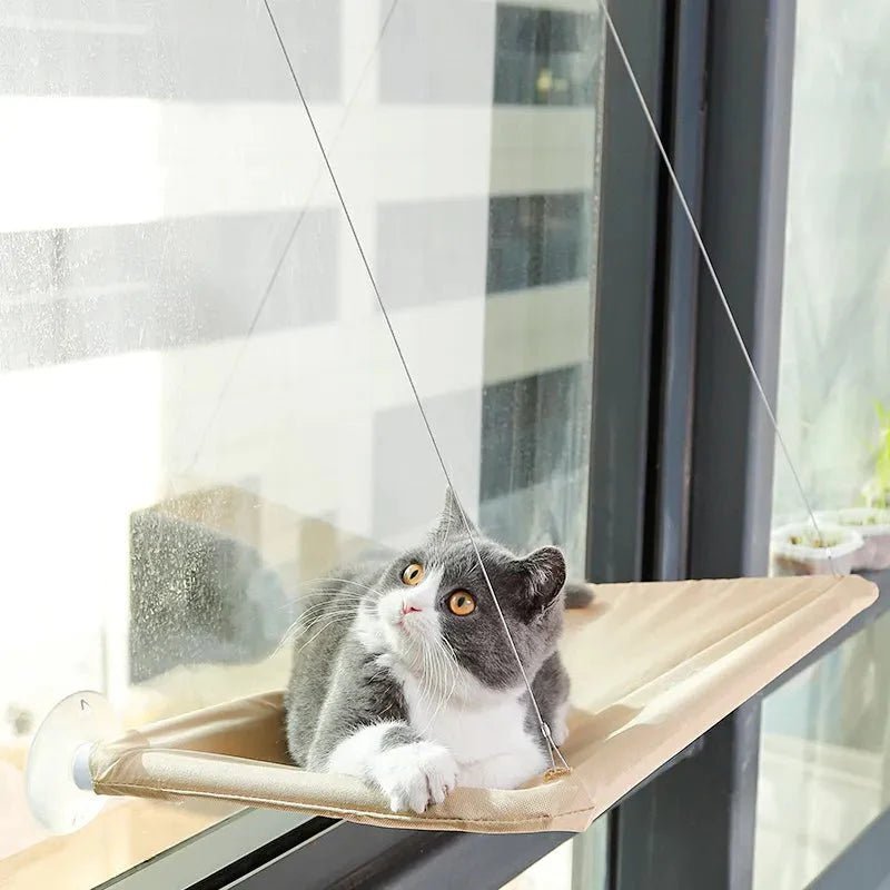 Hamac Chat - PetCatHangingBed™ - Jaune Clair - Lakshmi et Compagnie