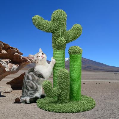 Arbre à Chat - CactusScratcher™ - Lakshmi et Compagnie