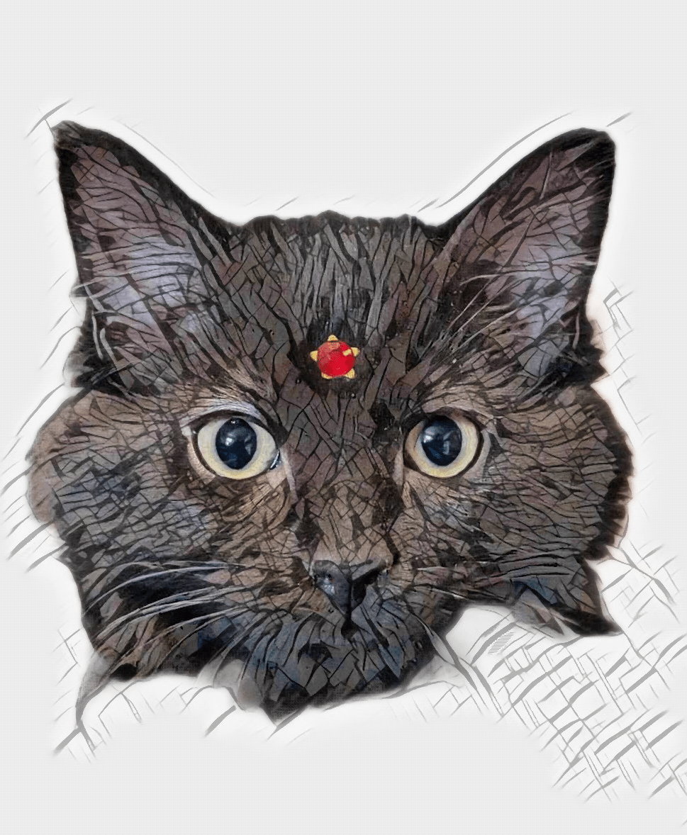 Hamac - CatHammock™ - Carreaux - Lakshmi et Compagnie