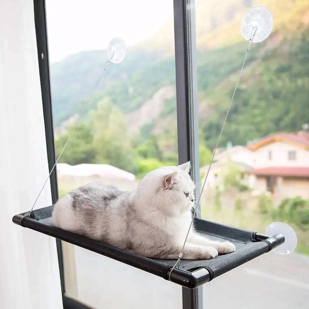 Hamac Chat - PetCatHangingBed™ - Noir - Lakshmi et Compagnie